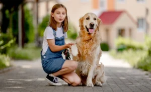 Lee más sobre el artículo Terapia con animales: innovación en salud mental