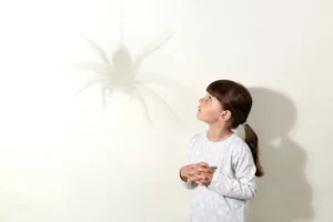 Lee más sobre el artículo Las 5 fobias más comunes