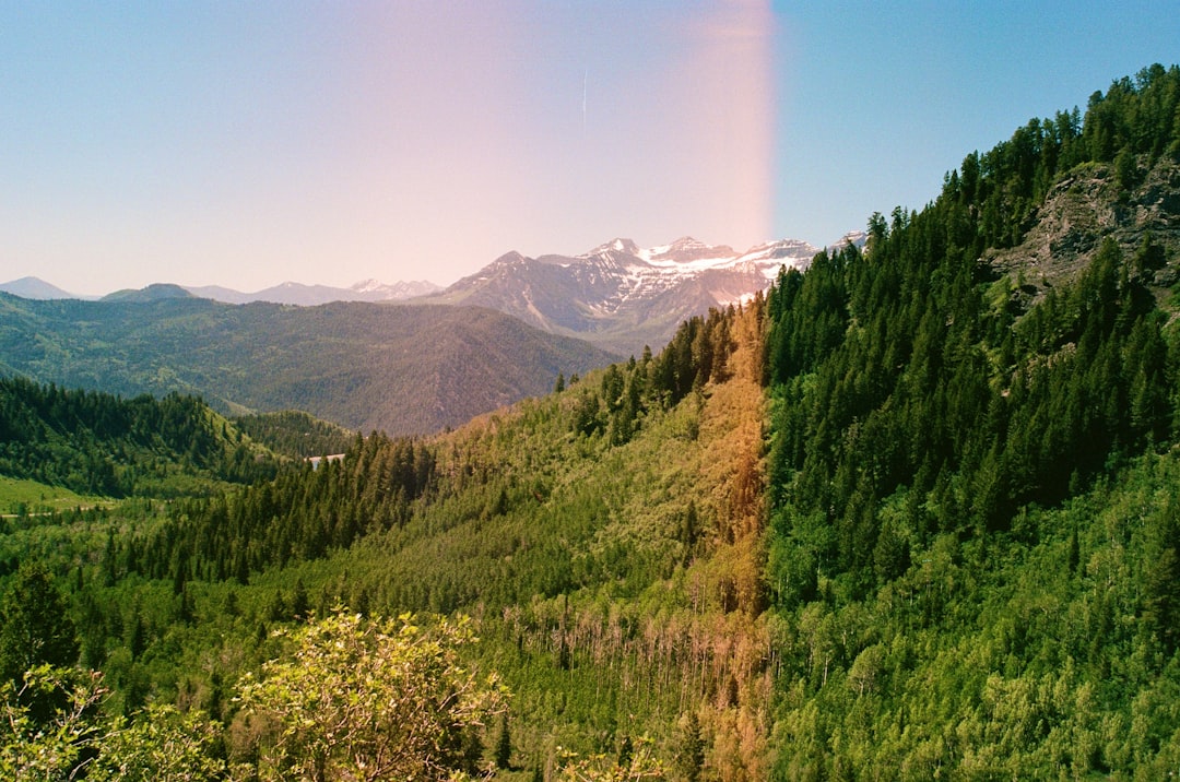 Photo by Anh Phan Green forests, distant snow-capped mountains, and a prominent light flare.